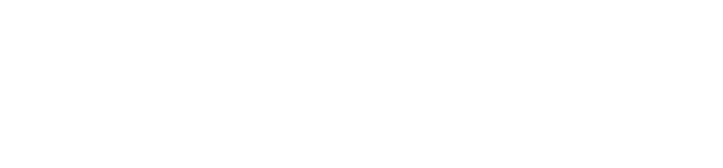 BrinkmanStitselaar